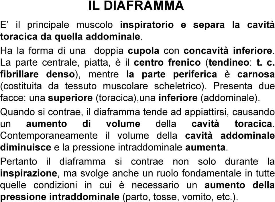 Presenta due facce: una superiore (toracica),una inferiore (addominale). Quando si contrae, il diaframma tende ad appiattirsi, causando un aumento di volume della cavità toracica.