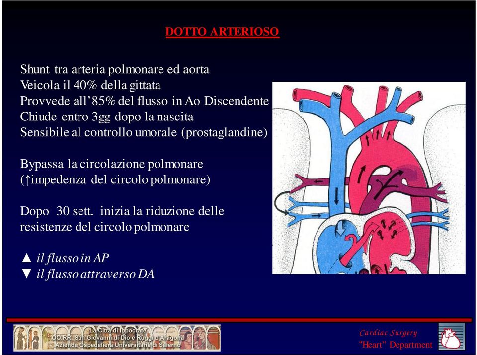 (prostaglandine) Bypassa la circolazione polmonare ( impedenza del circolo polmonare) Dopo 30