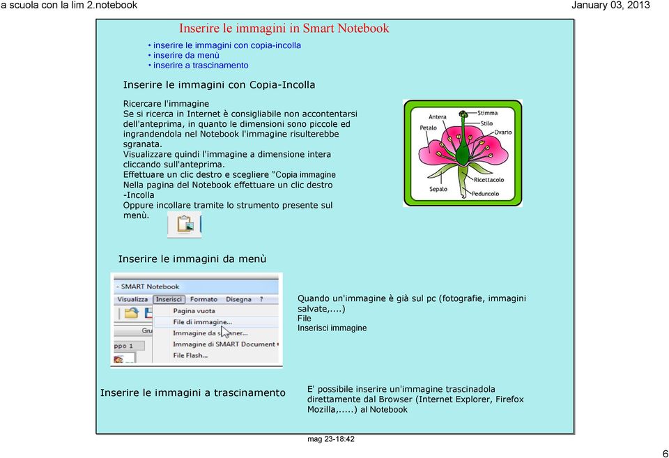 Visualizzare quindi l'immagine a dimensione intera cliccando sull'anteprima.