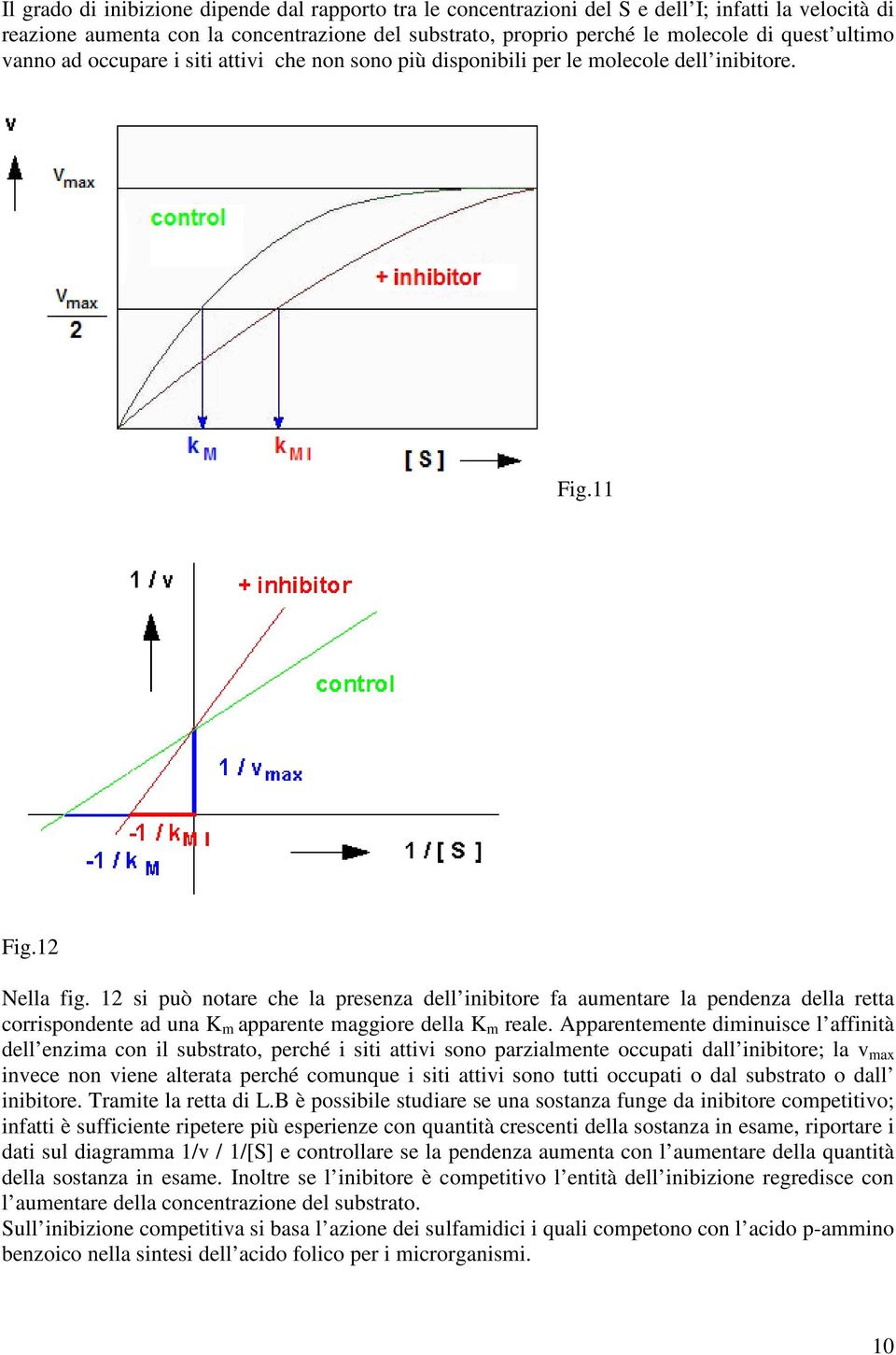 12 si può notare che la presenza dell inibitore fa aumentare la pendenza della retta corrispondente ad una K m apparente maggiore della K m reale.