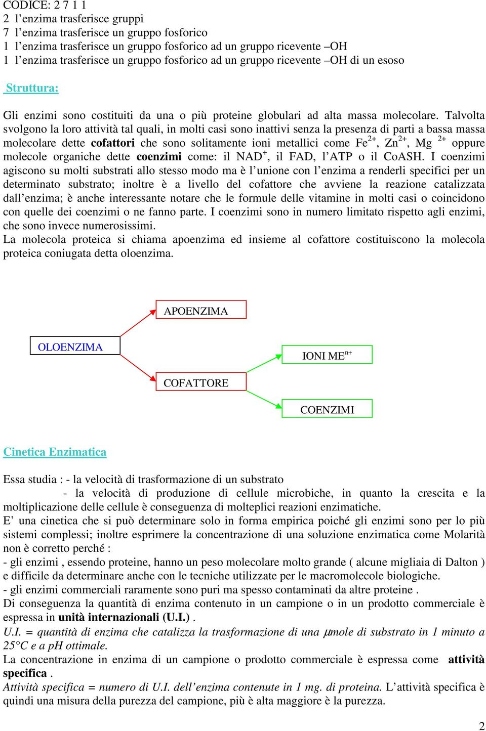 Talvolta svolgono la loro attività tal quali, in molti casi sono inattivi senza la presenza di parti a bassa massa molecolare dette cofattori che sono solitamente ioni metallici come Fe 2+, Zn 2+, Mg