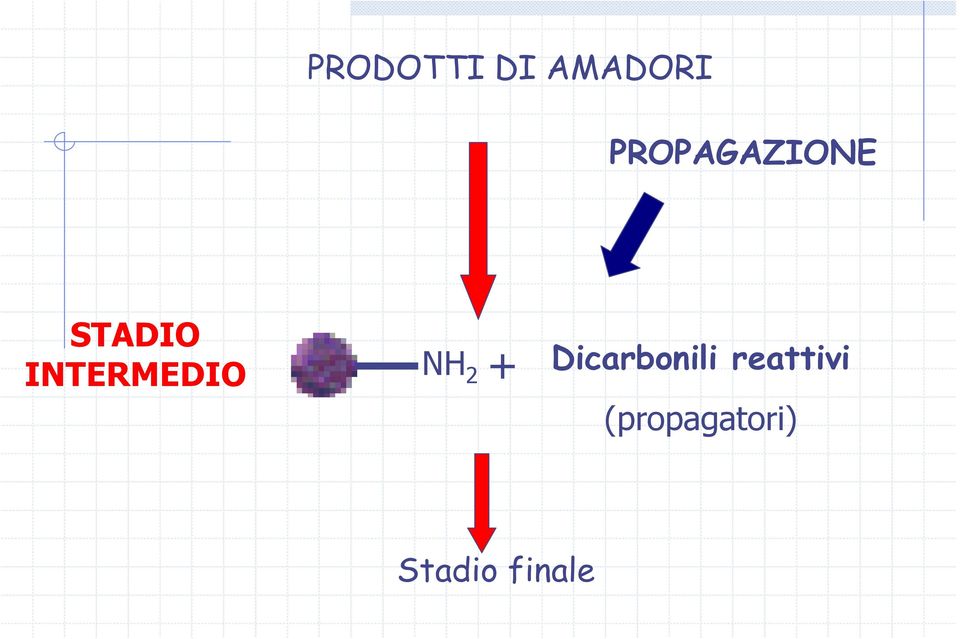 INTERMEDIO NH 2 +