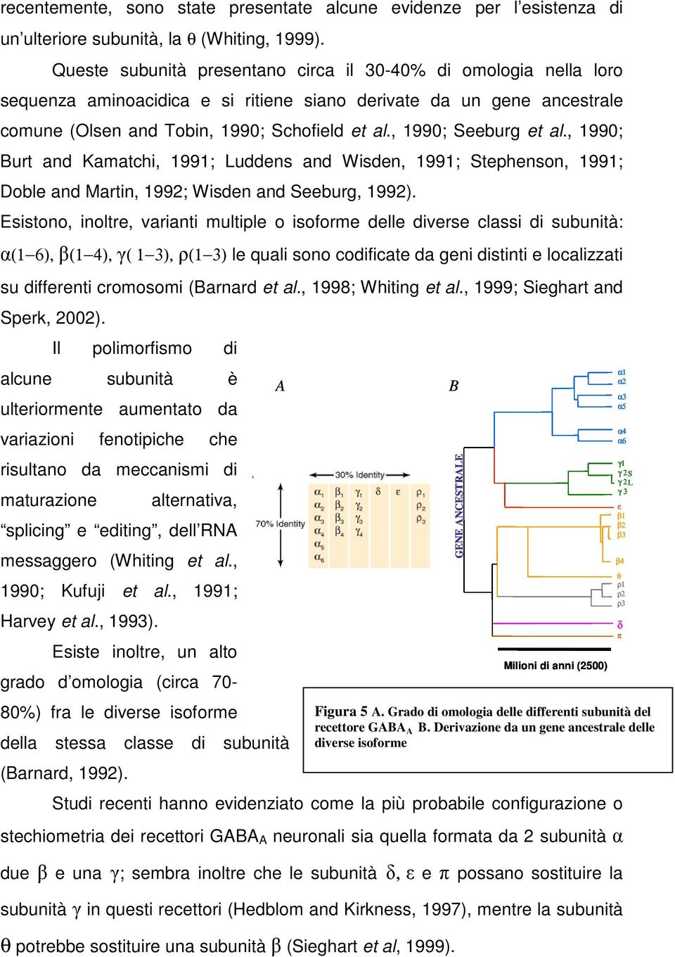 , 1990; Seeburg et al., 1990; Burt and Kamatchi, 1991; Luddens and Wisden, 1991; Stephenson, 1991; Doble and Martin, 1992; Wisden and Seeburg, 1992).