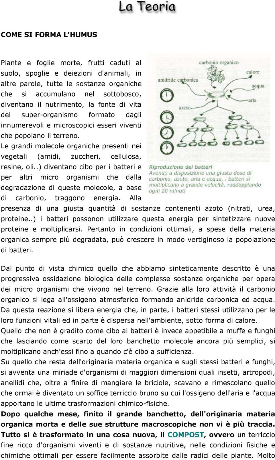 Le grandi molecole organiche presenti nei vegetali (amidi, zuccheri, cellulosa, resine, oli.