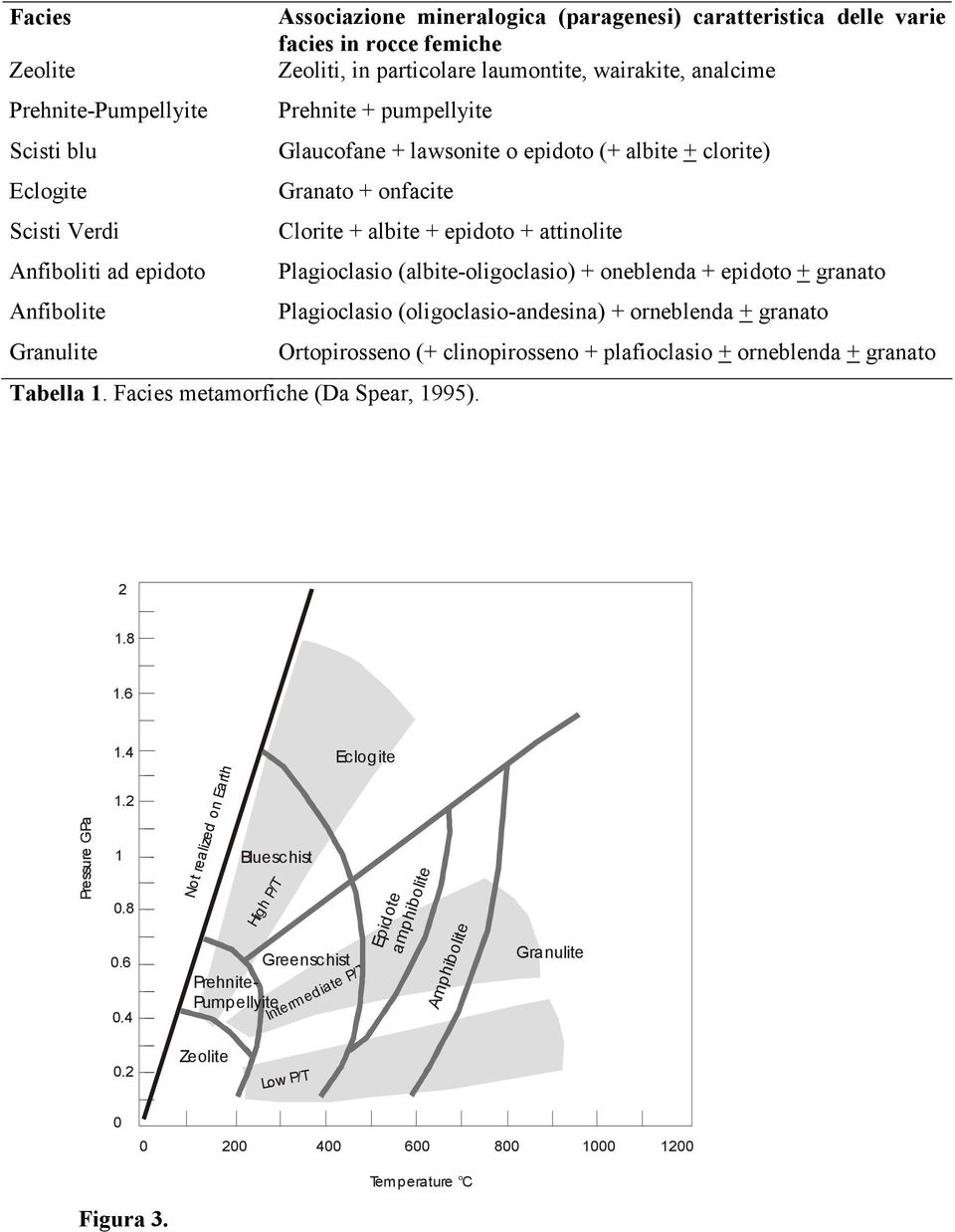 (albite-oligoclasio) + oneblenda + epidoto + granato Anfibolite Plagioclasio (oligoclasio-andesina) + orneblenda + granato Granulite Ortopirosseno (+ clinopirosseno + plafioclasio + orneblenda +