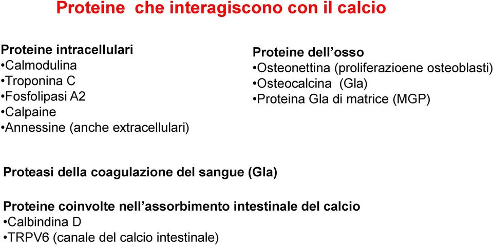 osteoblasti) Osteocalcina (Gla) Proteina Gla di matrice (MGP) Proteasi della coagulazione del sangue