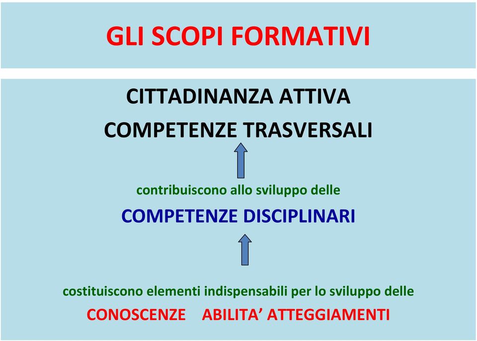 COMPETENZE DISCIPLINARI costituiscono elementi