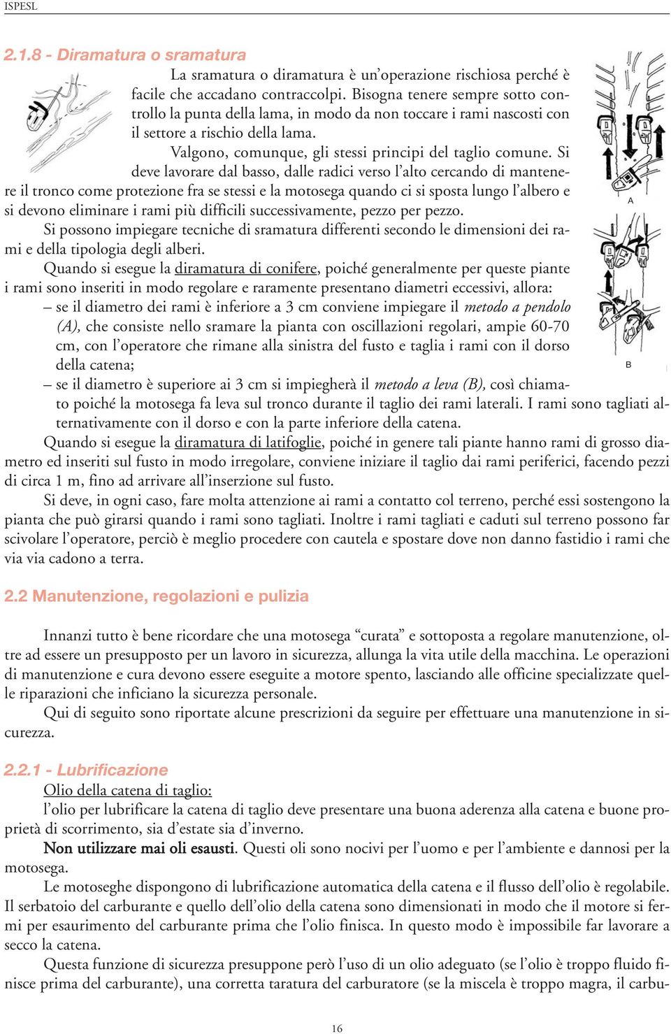 Si deve lavorare dal basso, dalle radici verso l alto cercando di mantenere il tronco come protezione fra se stessi e la motosega quando ci si sposta lungo l albero e A si devono eliminare i rami più