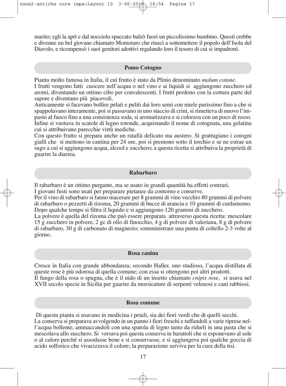 Pomo Cotogno Pianta molto famosa in Italia, il cui frutto è stato da Plinio denominato malum cotone.