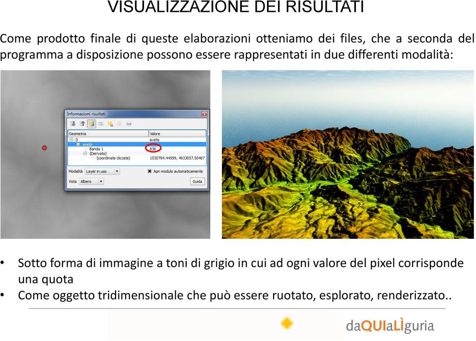 differenti modalità: Sotto forma di immagine a toni di grigio in cui ad ogni valore del