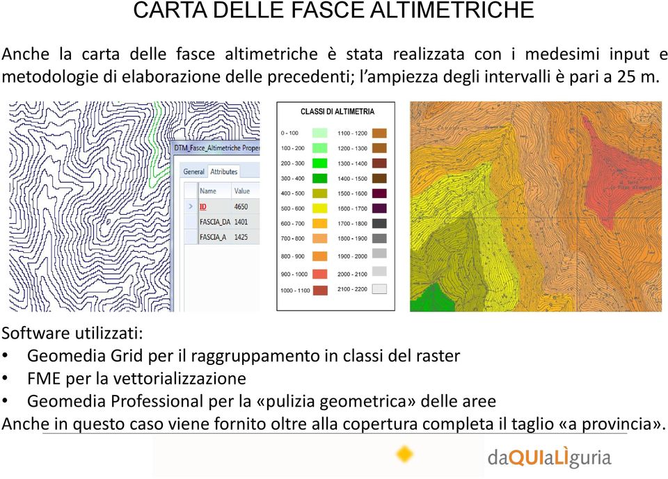 Software utilizzati: Geomedia Grid per il raggruppamento in classi del raster FME per la vettorializzazione