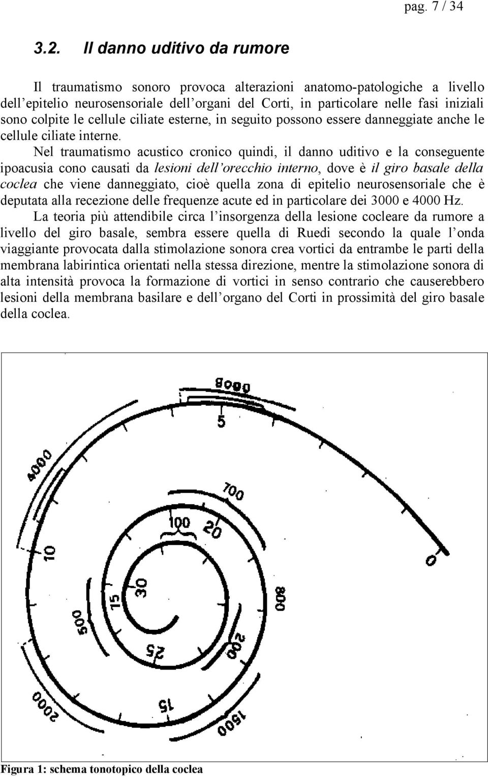 le cellule ciliate esterne, in seguito possono essere danneggiate anche le cellule ciliate interne.