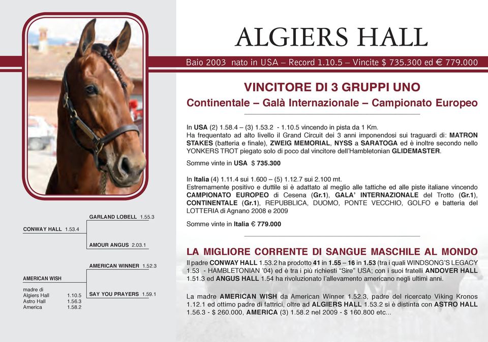 piegato solo di poco dal vincitore dell Hambletonian GLIDEMASTER. Somme vinte in USA $ 735.300 CONWAY HALL 1.53.4 AMERICAN WISH madre di Algiers Hall 1.10.5 Astro Hall 1.56.3 America 1.58.