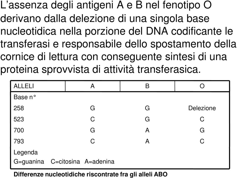 conseguente sintesi di una proteina sprovvista di attività transferasica.