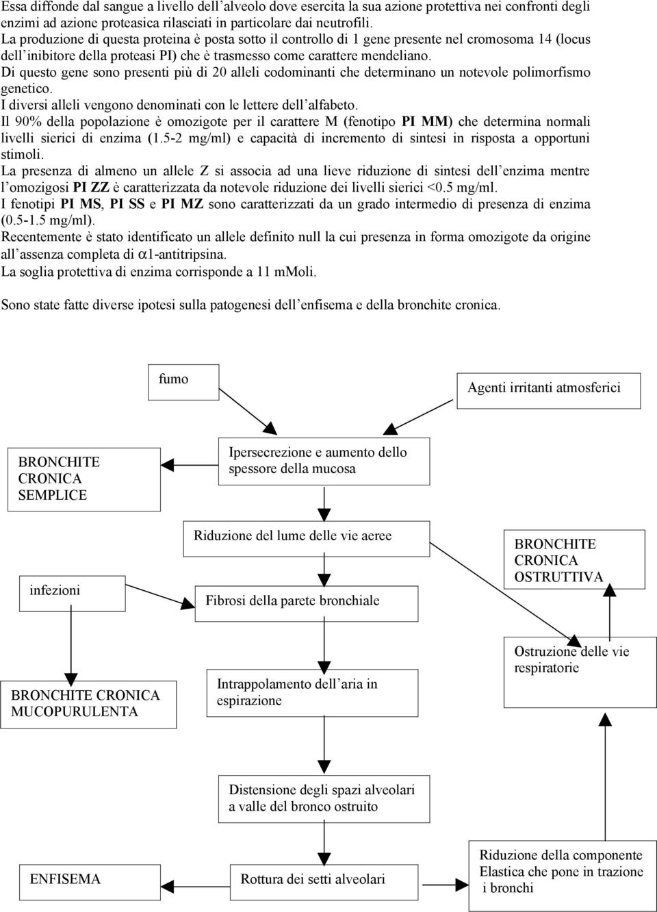 Di questo gene sono presenti più di 20 alleli codominanti che determinano un notevole polimorfismo genetico. I diversi alleli vengono denominati con le lettere dell alfabeto.