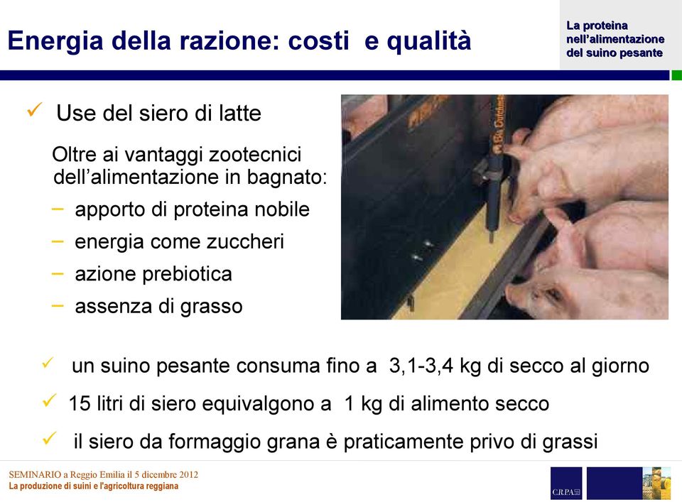 assenza di grasso un suino pesante consuma fino a 3,1-3,4 kg di secco al giorno 15 litri di