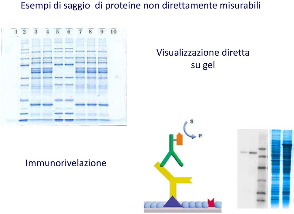 misurabili Visualizzazione