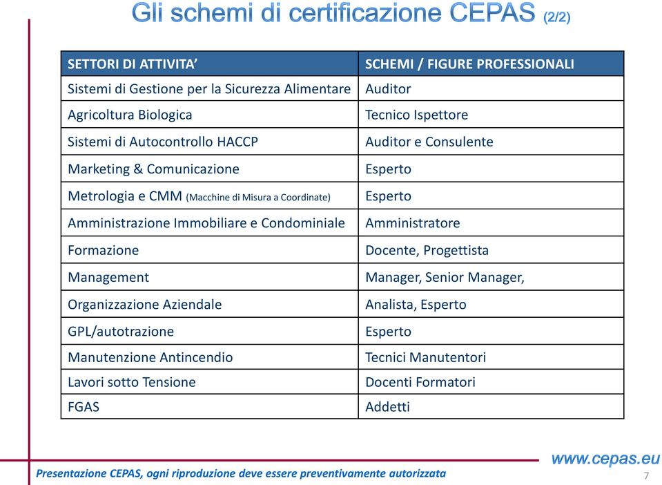 Aziendale GPL/autotrazione Manutenzione Antincendio Lavori sotto Tensione FGAS SCHEMI / FIGURE PROFESSIONALI Auditor Tecnico Ispettore Auditor e