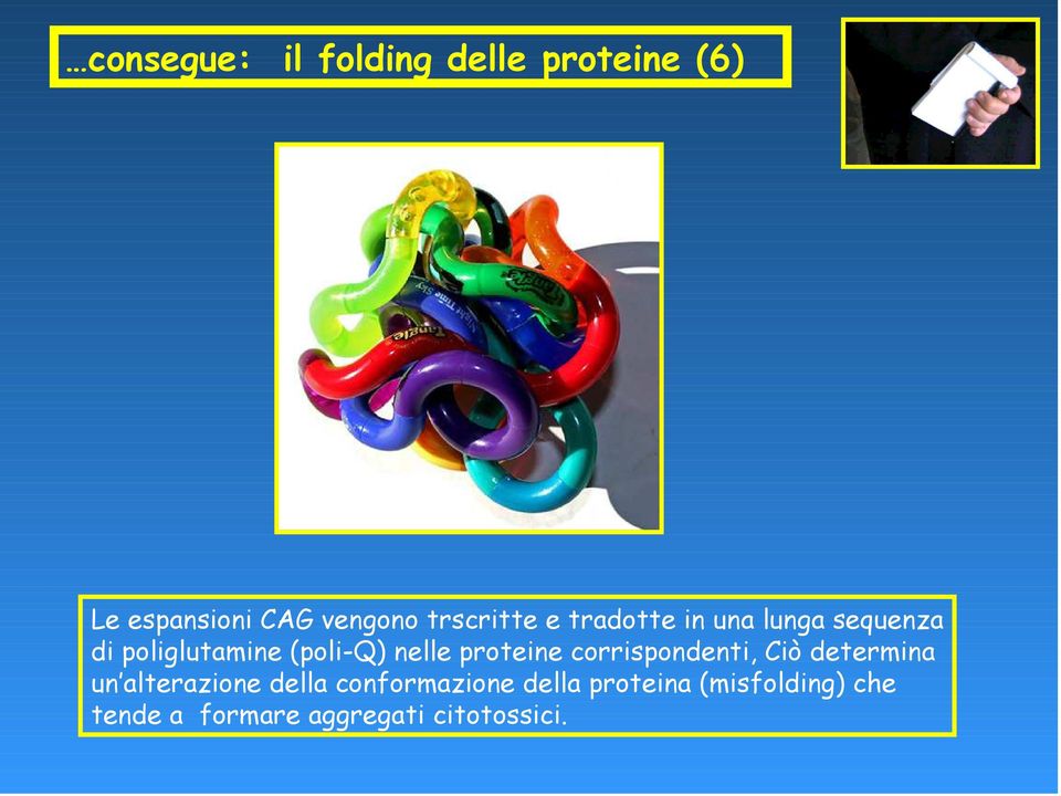 nelle proteine corrispondenti, Ciò determina un alterazione della