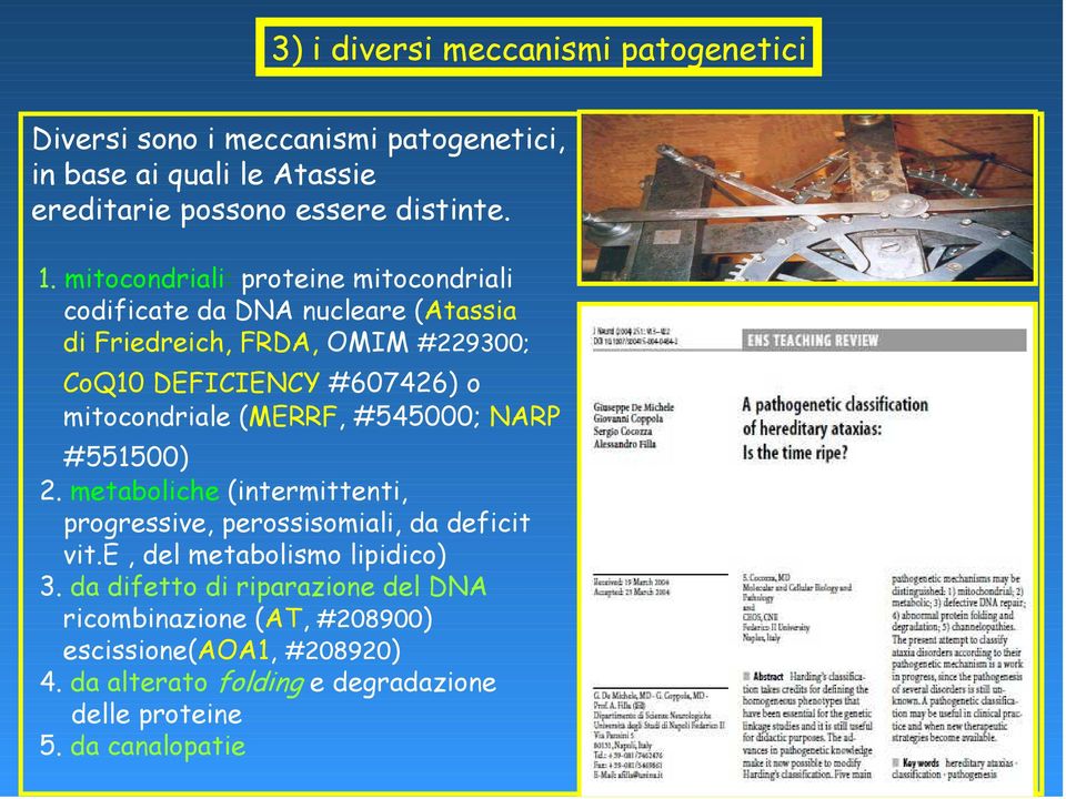 mitocondriale (MERRF, #545000; NARP #551500) 2. metaboliche (intermittenti, progressive, perossisomiali, da deficit vit.