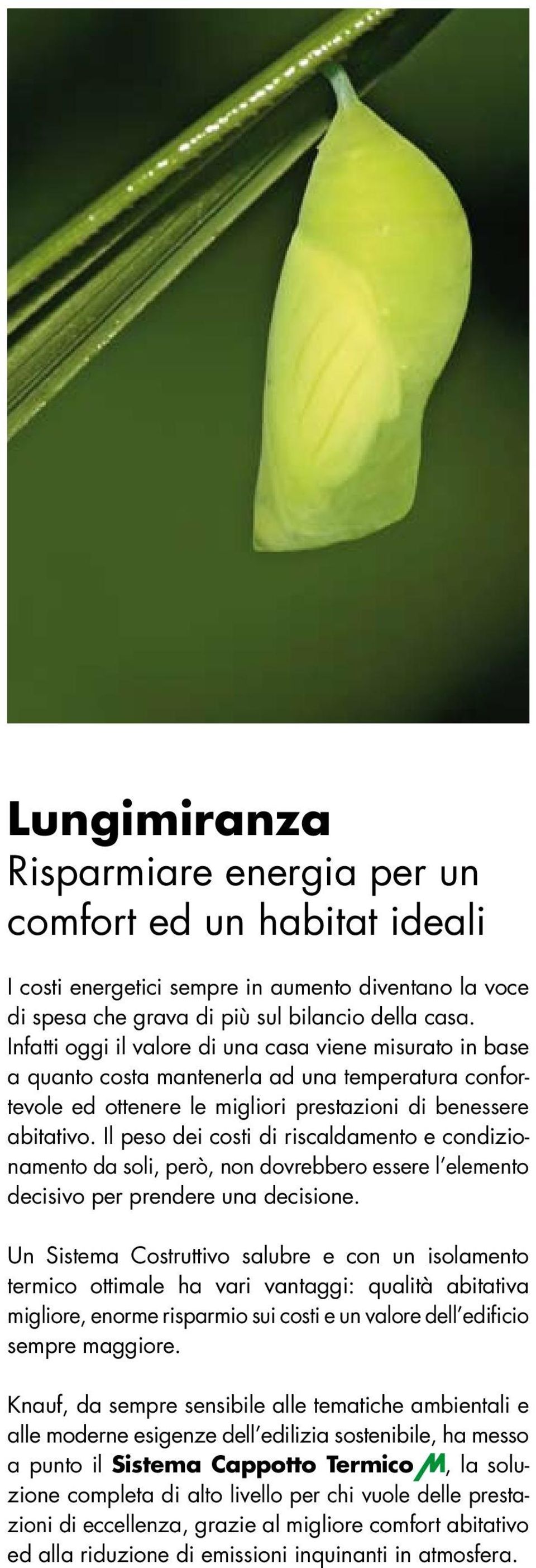 Il peso dei costi di riscaldamento e condizionamento da soli, però, non dovrebbero essere l elemento decisivo per prendere una decisione.