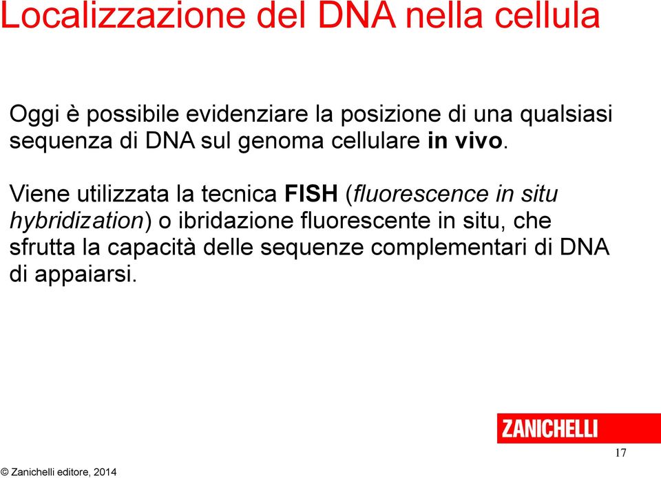 Viene utilizzata la tecnica FISH (fluorescence in situ hybridization) o