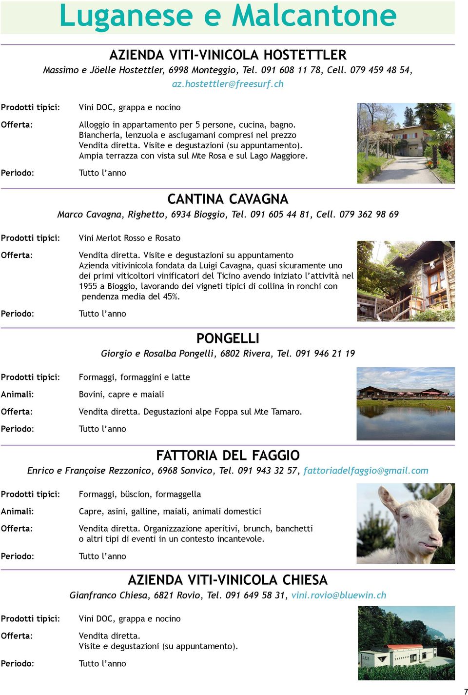 Ampia terrazza con vista sul Mte Rosa e sul Lago Maggiore. CANTINA CAVAGNA Marco Cavagna, Righetto, 6934 Bioggio, Tel. 091 605 44 81, Cell.