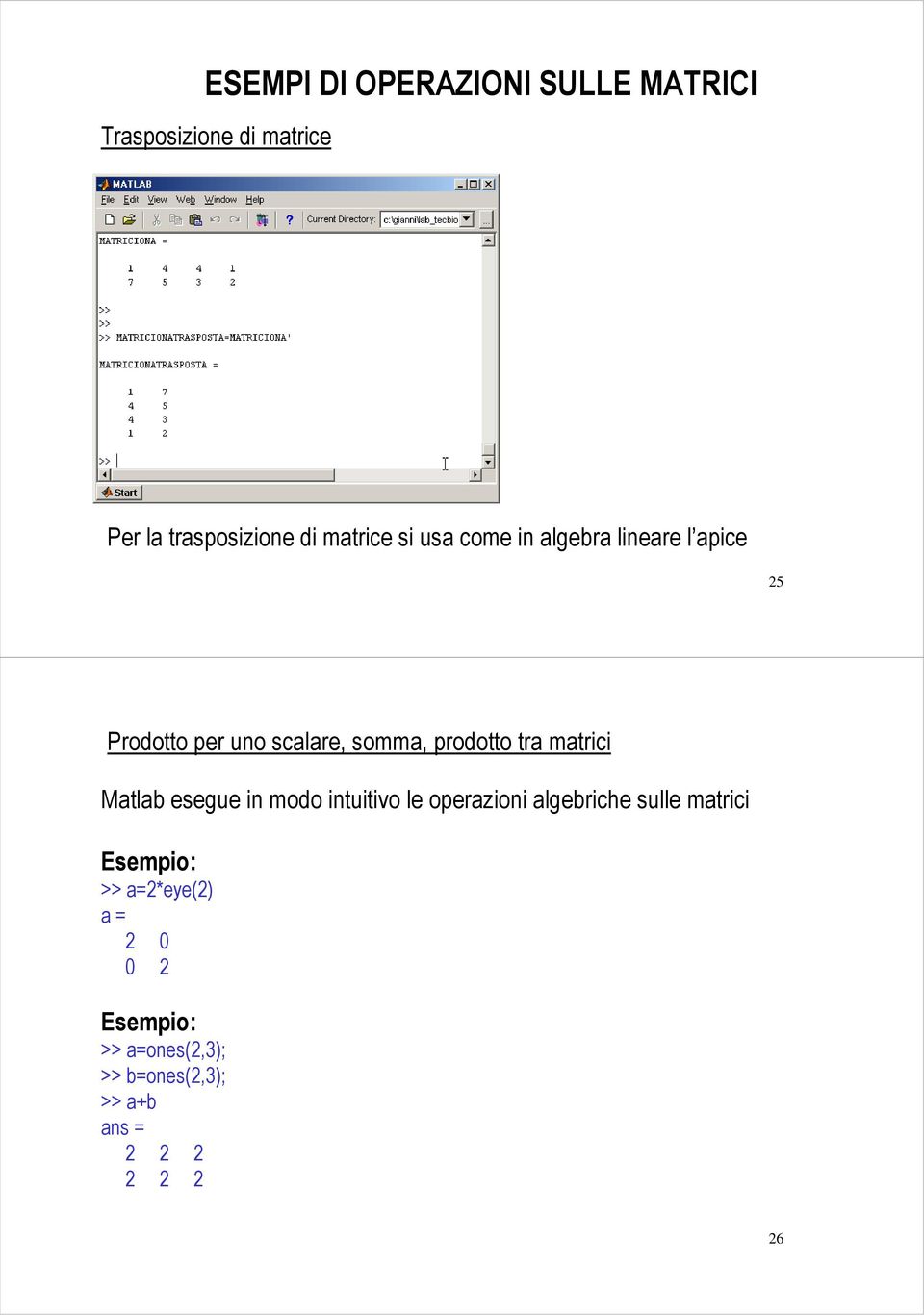 prodotto tra matrici Matlab esegue in modo intuitivo le operazioni algebriche sulle