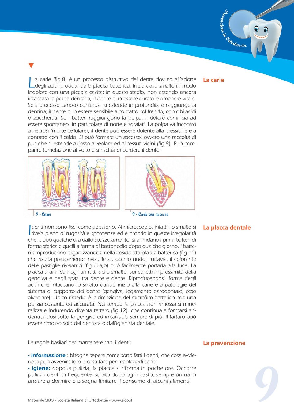 Se il processo carioso continua, si estende in profondità e raggiunge la dentina; il dente può essere sensibile a contatto col freddo, con cibi acidi o zuccherati.