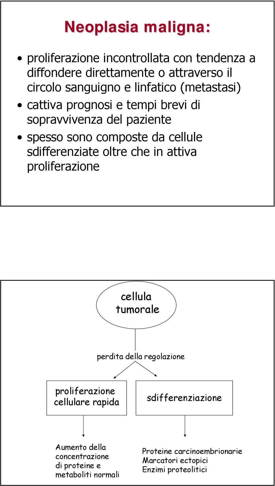 sdifferenziate oltre che in attiva proliferazione cellula tumorale perdita della regolazione proliferazione cellulare rapida