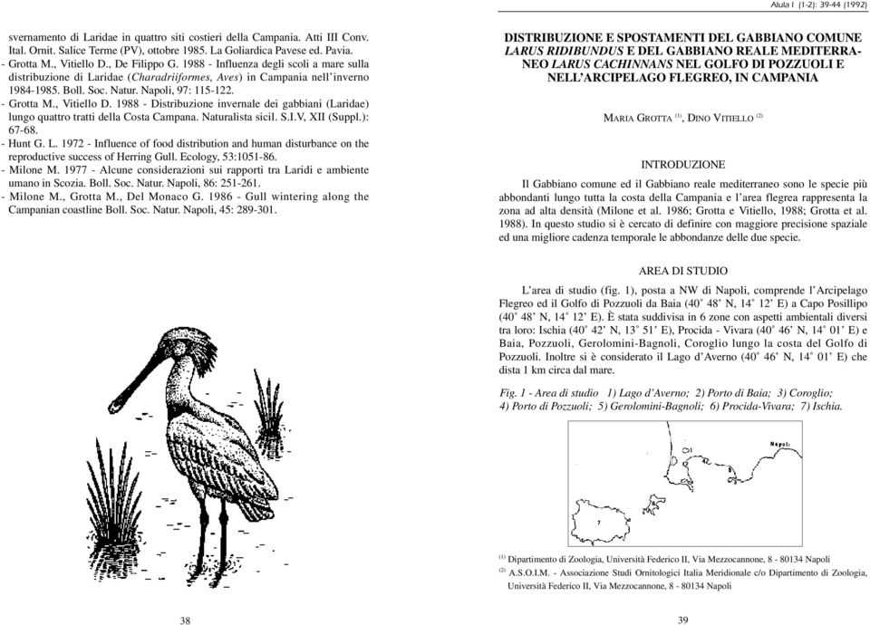 - Grotta M., Vitiello D. 1988 - Distribuzione invernale dei gabbiani (Laridae) lungo quattro tratti della Costa Campana. Naturalista sicil. S.I.V, XII (Suppl.): 67-68. - Hunt G. L.