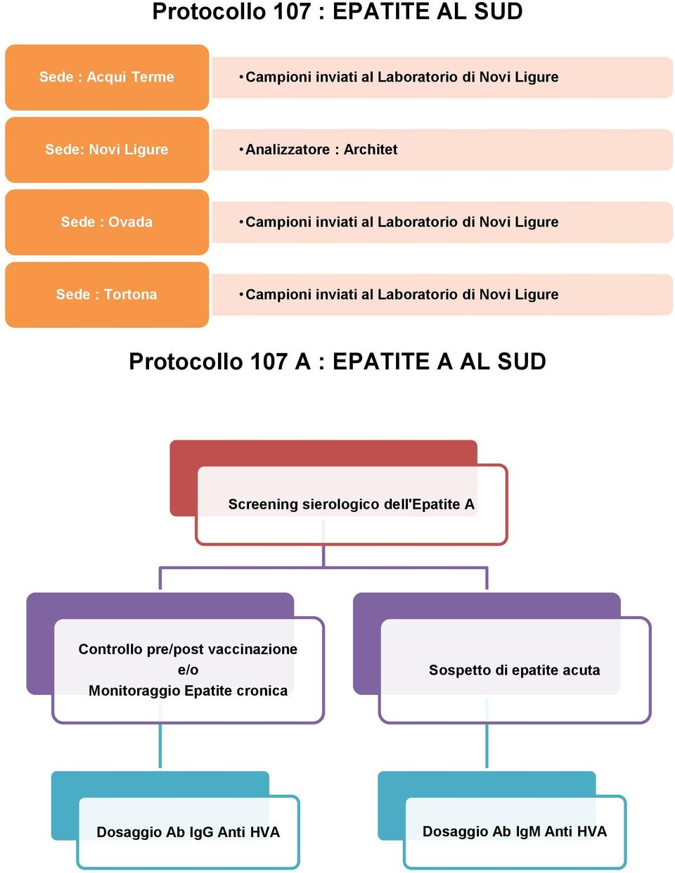 inviati al Laboratorio di Novi Ligure Protocollo 107 A : EPATITE A AL SUD Screening sierologico dell'epatite A