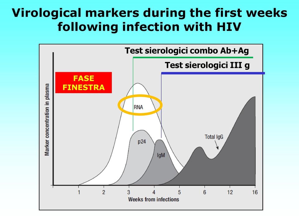 with HIV FASE FINESTRA Test