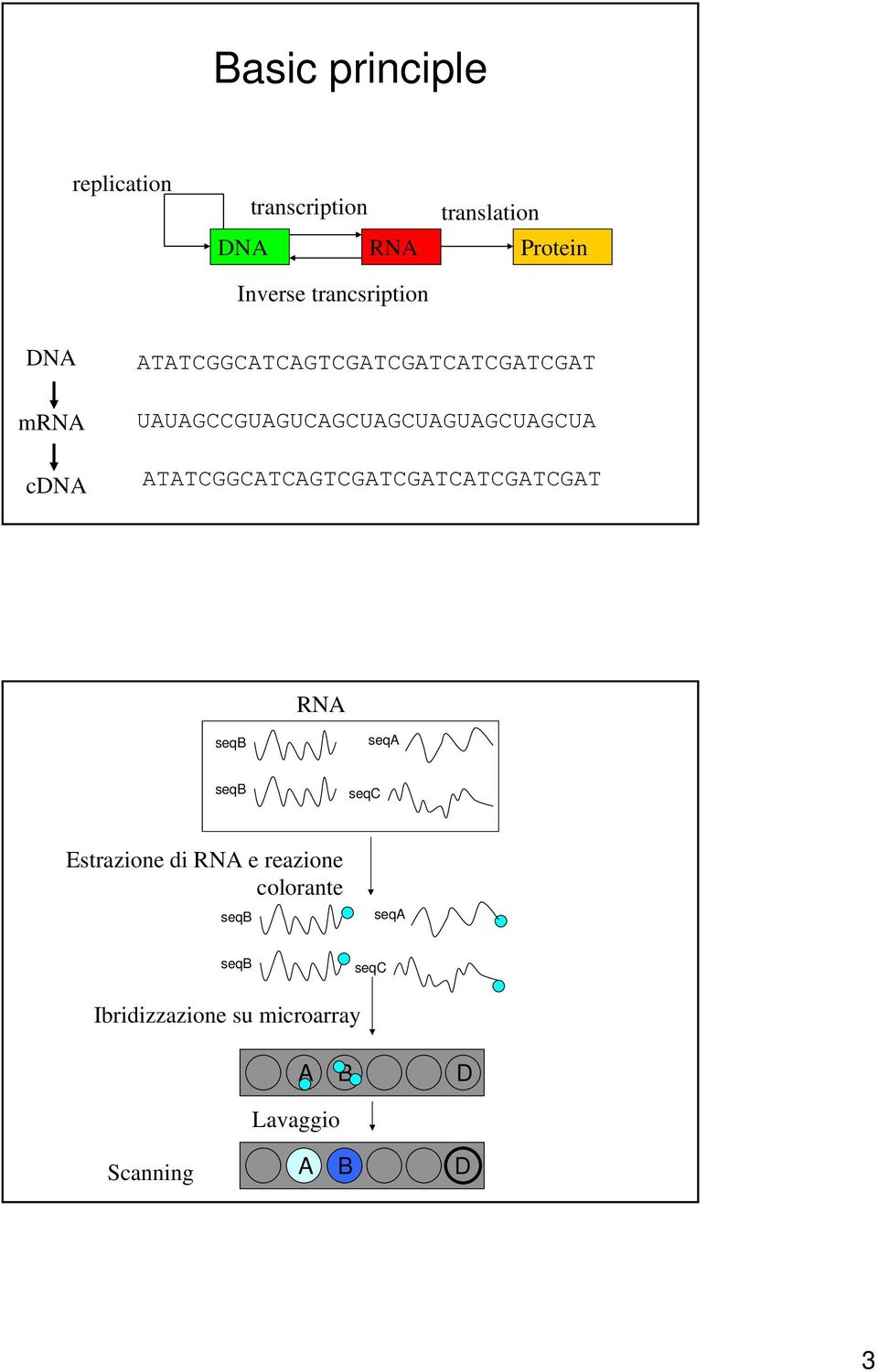UAUAGCCGUAGUCAGCUAGCUAGUAGCUAGCUA ATATCGGCATCAGTCGATCGATCATCGATCGAT RNA seqb seqa seqb