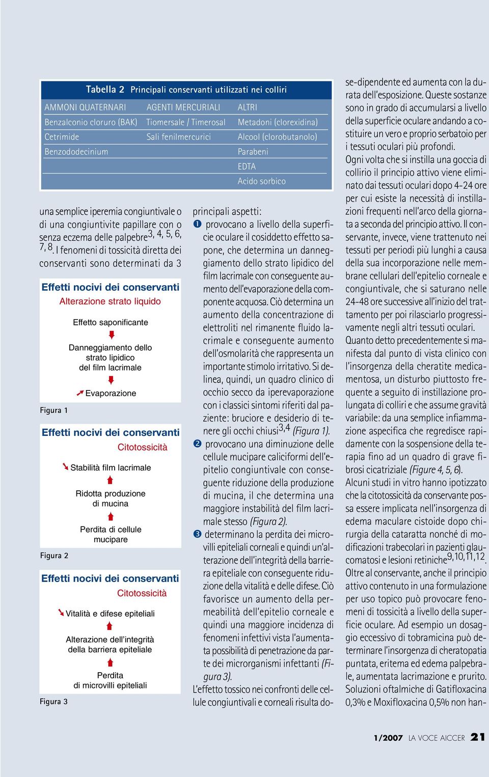 I fenomeni di tossicità diretta dei conservanti sono determinati da 3 Effetti nocivi dei conservanti Alterazione strato liquido Figura 1 Effetto saponificante Danneggiamento dello strato lipidico del