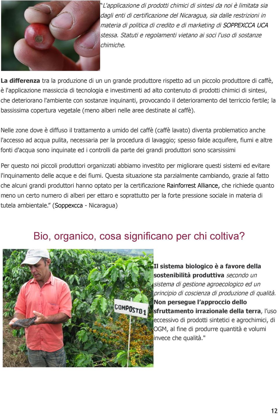 La differenza tra la produzione di un un grande produttore rispetto ad un piccolo produttore di caffè, è l'applicazione massiccia di tecnologia e investimenti ad alto contenuto di prodotti chimici di