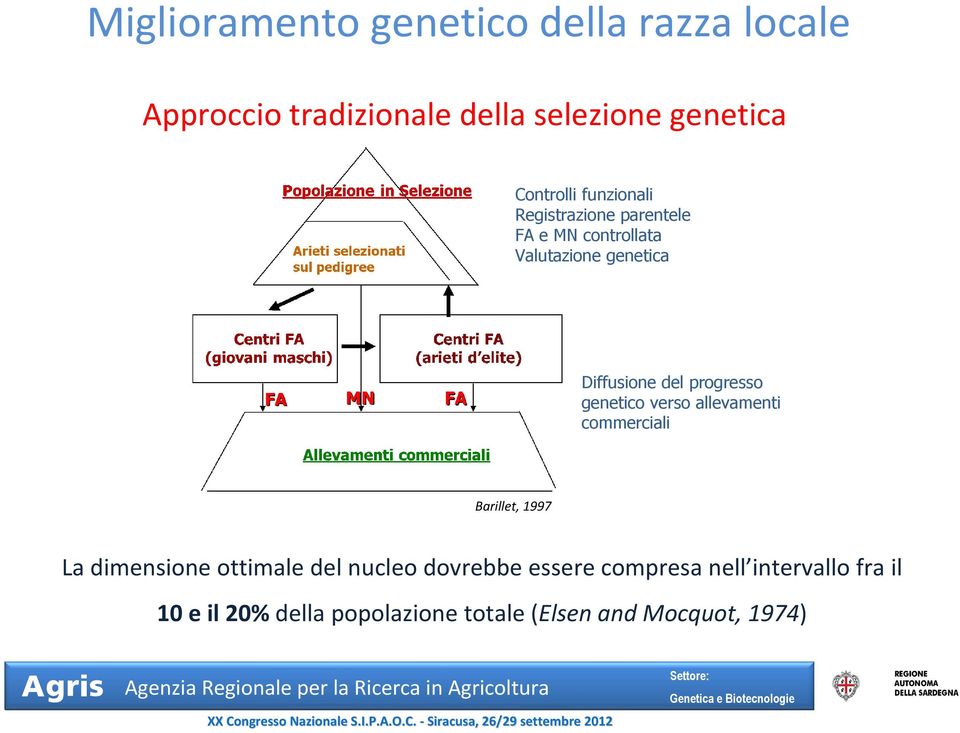 progresso genetico verso allevamenti commerciali Barillet, 1997 La dimensione ottimale del nucleo