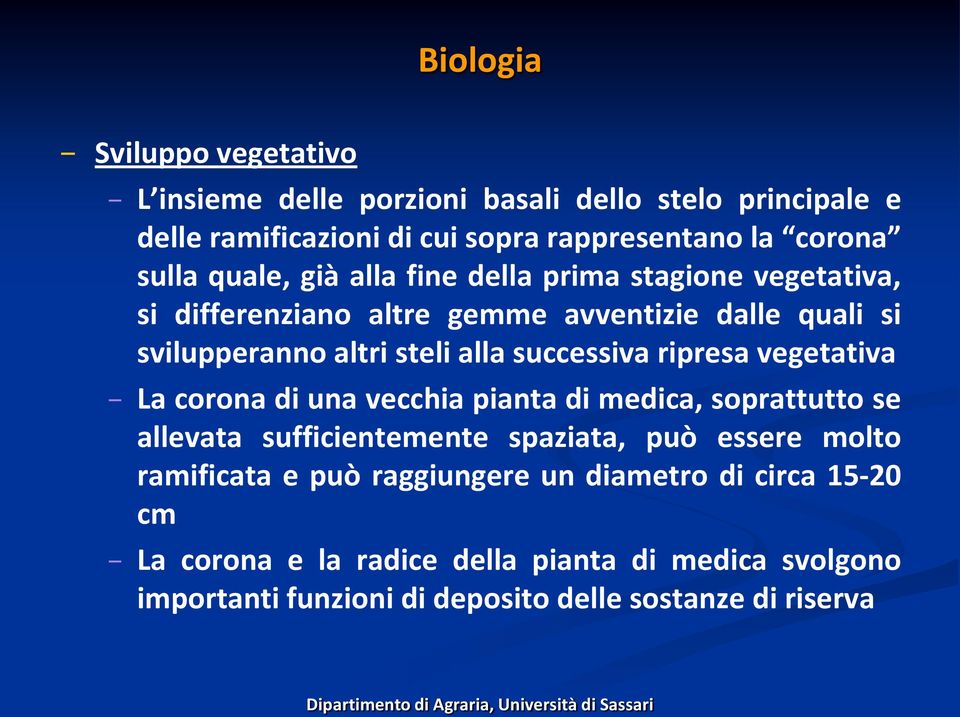 successiva ripresa vegetativa La corona di una vecchia pianta di medica, soprattutto se allevata sufficientemente spaziata, può essere molto