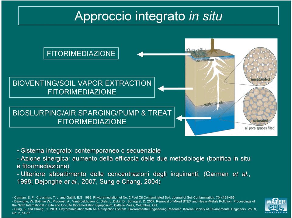 , 1998; Dejonghe et al., 2007, Sung e Chang, 2004) - Carman, E. P., Crossman, T. L. and Gatliff, E.G. 1998. Phytoremediation of No. 2 Fuel Oil-Contaminated Soil. Journal of Soil Contamination.