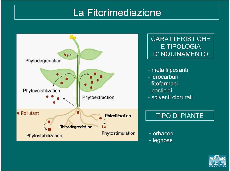 fitofarmaci - pesticidi - solventi clorurati