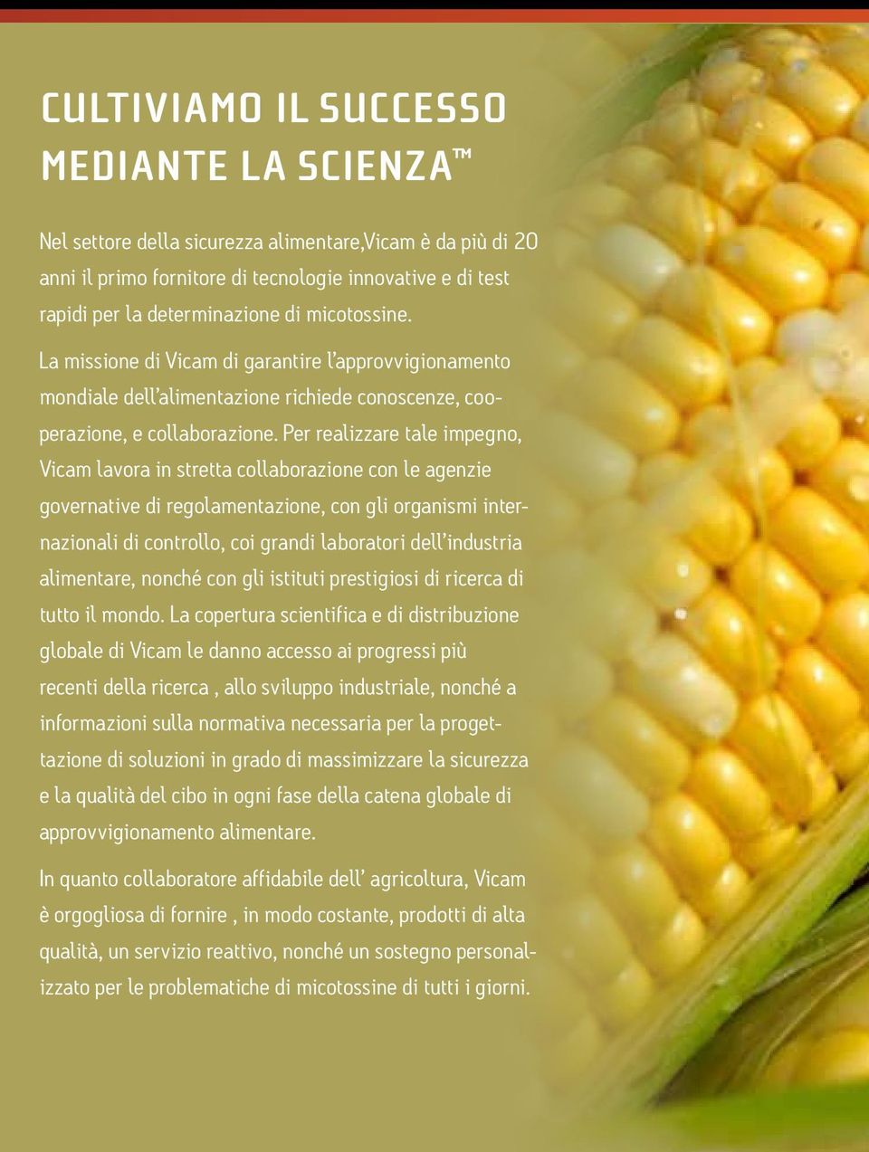 Per realizzare tale impegno, Vicam lavora in stretta collaborazione con le agenzie governative di regolamentazione, con gli organismi internazionali di controllo, coi grandi laboratori dell industria