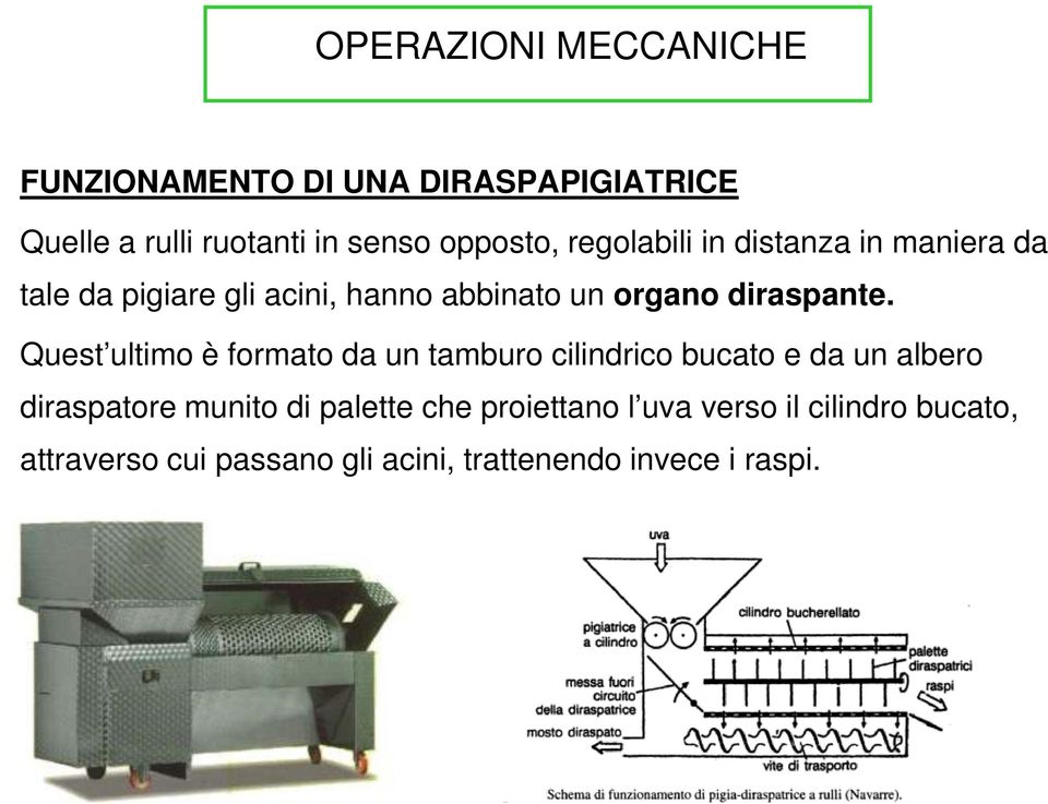 Quest ultimo è formato da un tamburo cilindrico bucato e da un albero diraspatore munito di palette