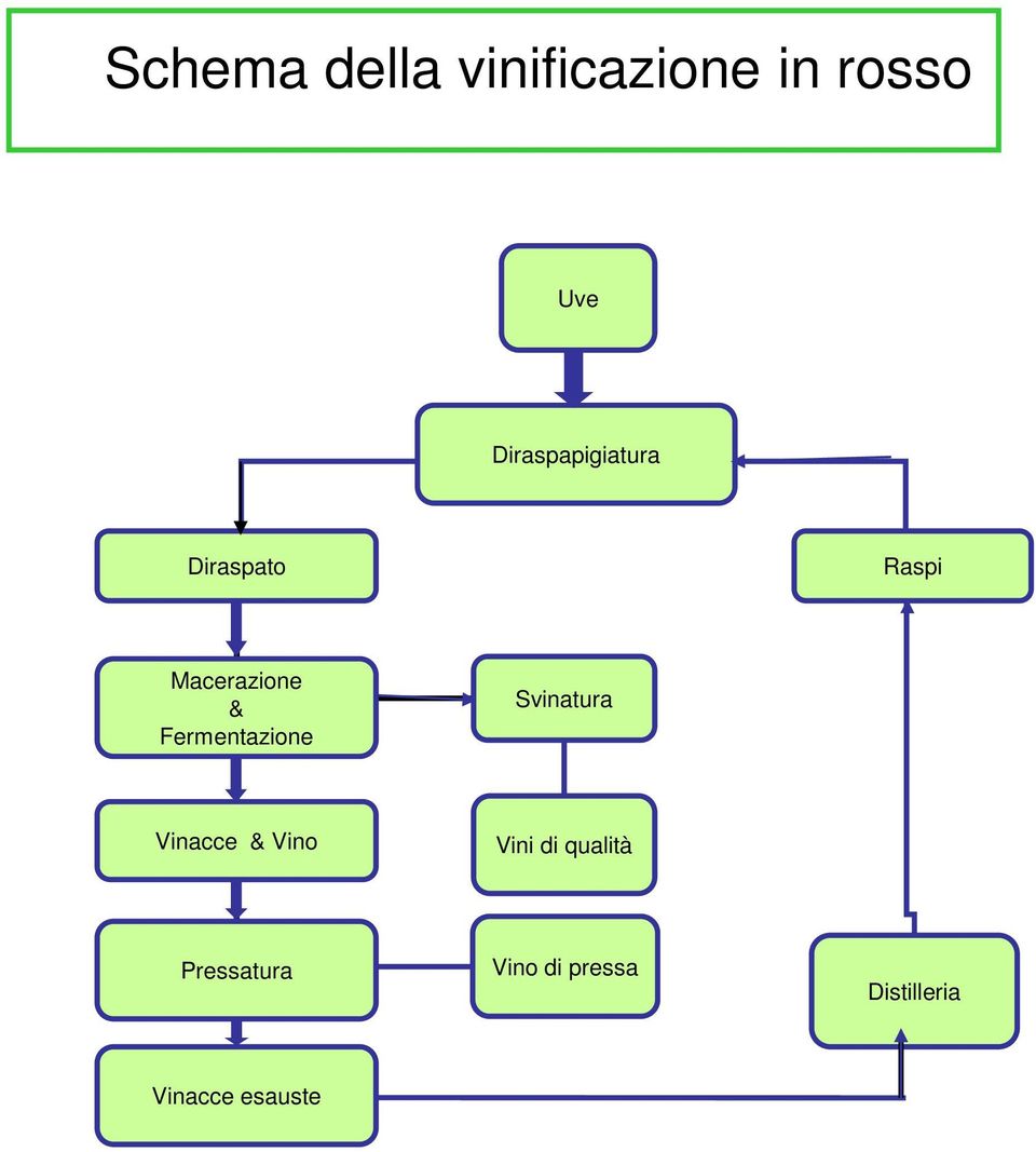 Fermentazione Svinatura Vinacce & Vino Vini di