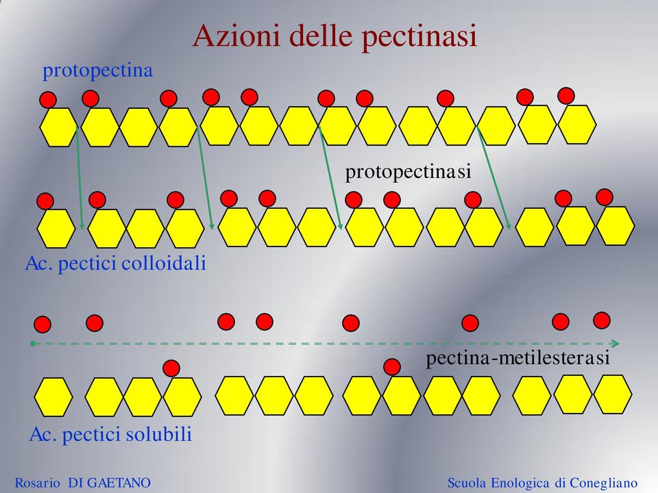 pectici colloidali