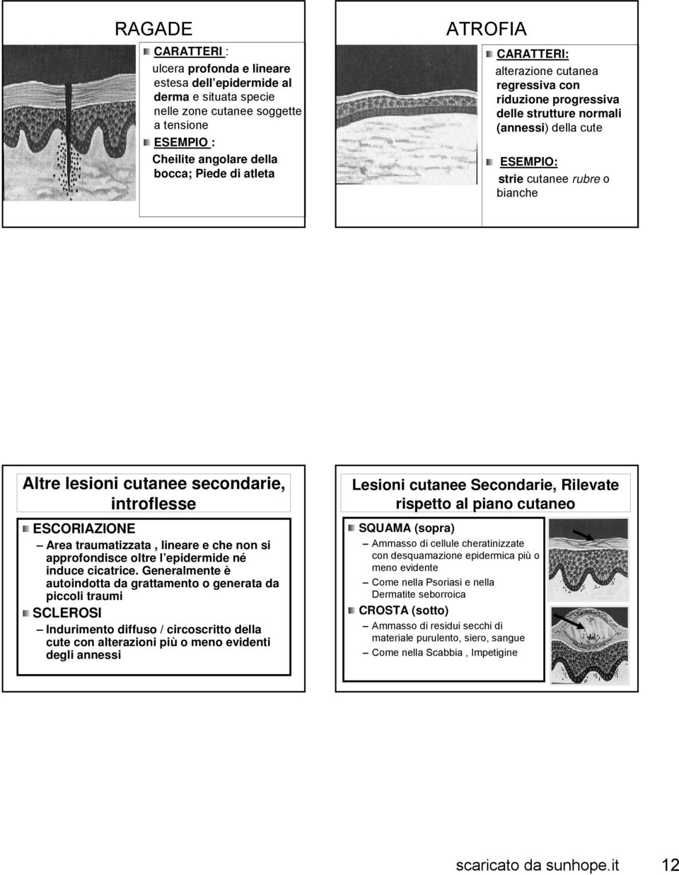 ESCORIAZIONE Area traumatizzata, lineare e che non si approfondisce oltre l epidermide né induce cicatrice.