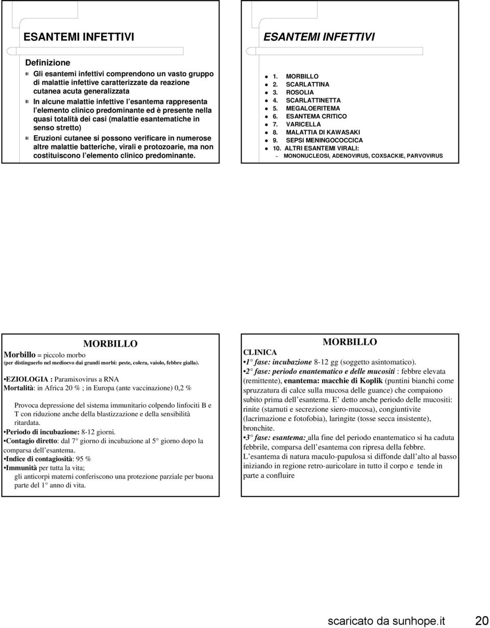 numerose altre malattie batteriche, virali e protozoarie, ma non costituiscono l elemento clinico predominante. 1. MORBILLO 2. SCARLATTINA 3. ROSOLIA 4. SCARLATTINETTA 5. MEGALOERITEMA 6.