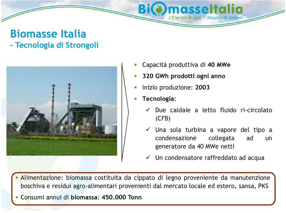 generatore da 40 MWe netti Un condensatore raffreddato ad acqua Alimentazione: biomassa costituita da cippato di legno proveniente