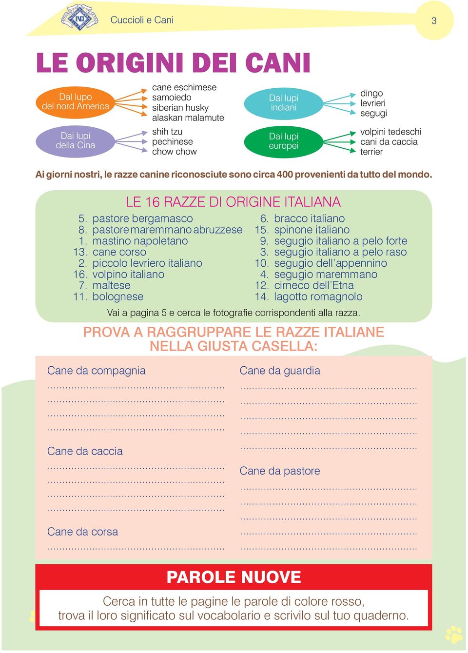 segugio italiano a pelo forte 3. segugio italiano a pelo raso 10. segugio dell appennino 4. segugio maremmano 12. cirneco dell Etna 14.