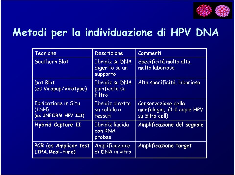 su filtro Ibridiz diretta su cellule o tessuti Ibridiz liquida con RNA probes Amplificazione di DNA in vitro Specificità molto alta, molto