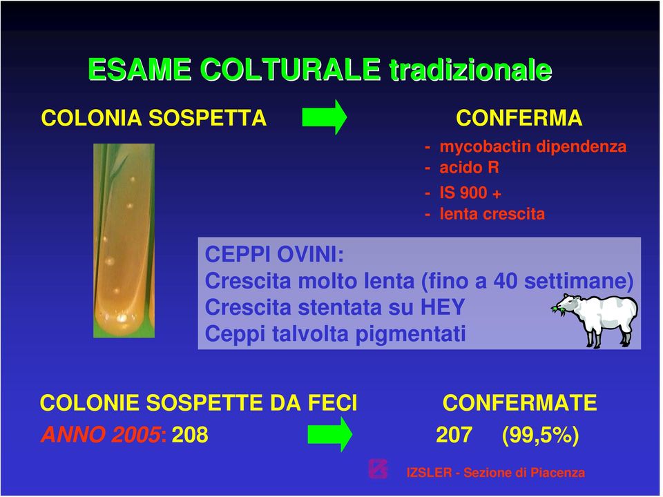 molto lenta (fino a 40 settimane) Crescita stentata su HEY Ceppi